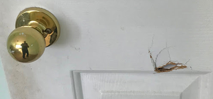 interior door hole repair Jacksonville Beach