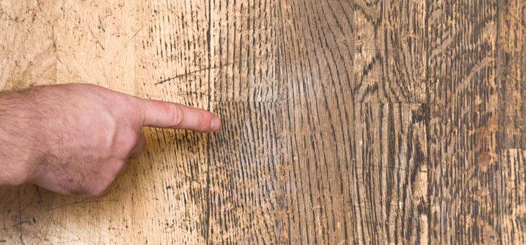 Wood Door Scratch Repair in Jacksonville Beach